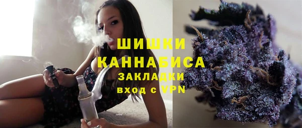 сатива Елизово