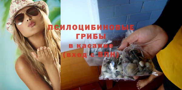 гидропоника Ельня
