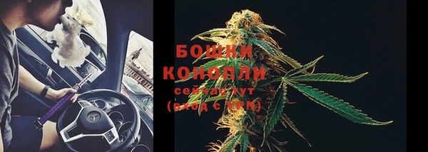 шишки Елабуга