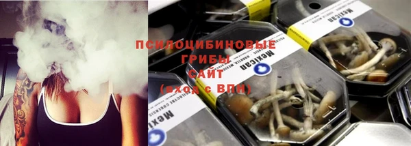 шишки Елабуга