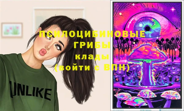 гидропоника Ельня
