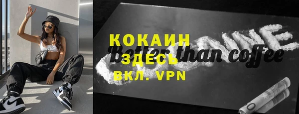 сатива Елизово