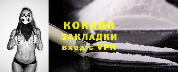 шишки Елабуга