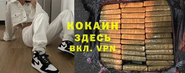 сатива Елизово