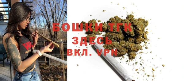 гидропоника Ельня