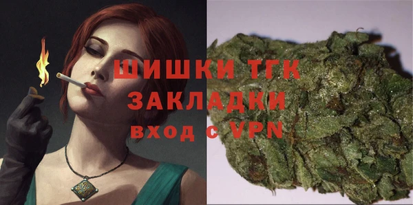 сатива Елизово