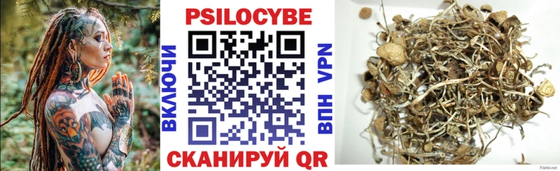blacksprut вход  Сыктывкар  дарк нет официальный сайт  сколько стоит  Псилоцибиновые грибы Psilocybe 