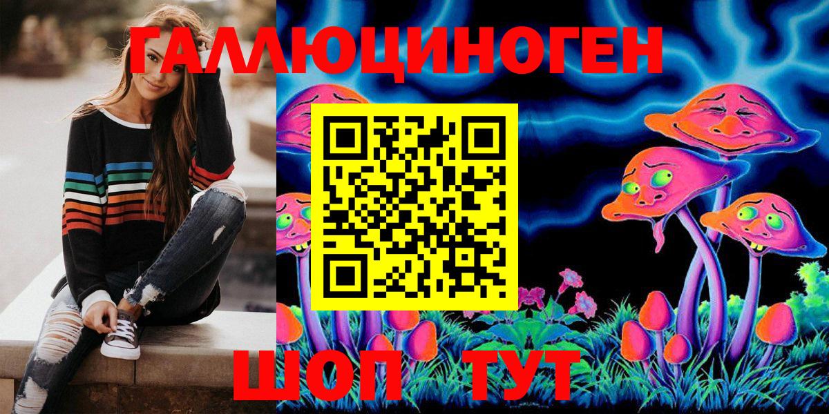 Псилоцибиновые грибы Cubensis Сыктывкар