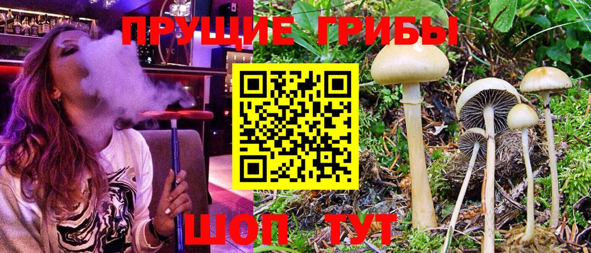 Галлюциногенные грибы мицелий  Вход с VPN  Сыктывкар  Галлюциногенные грибы Cubensis 